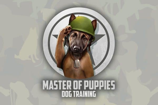 Goldogs Master Dog Training Gold Coast for All Breeds | Master Of Puppies